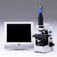 ぺリオマイクロ40（顕微鏡で見る歯周病検査）